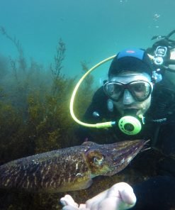 Buceo en Galicia
